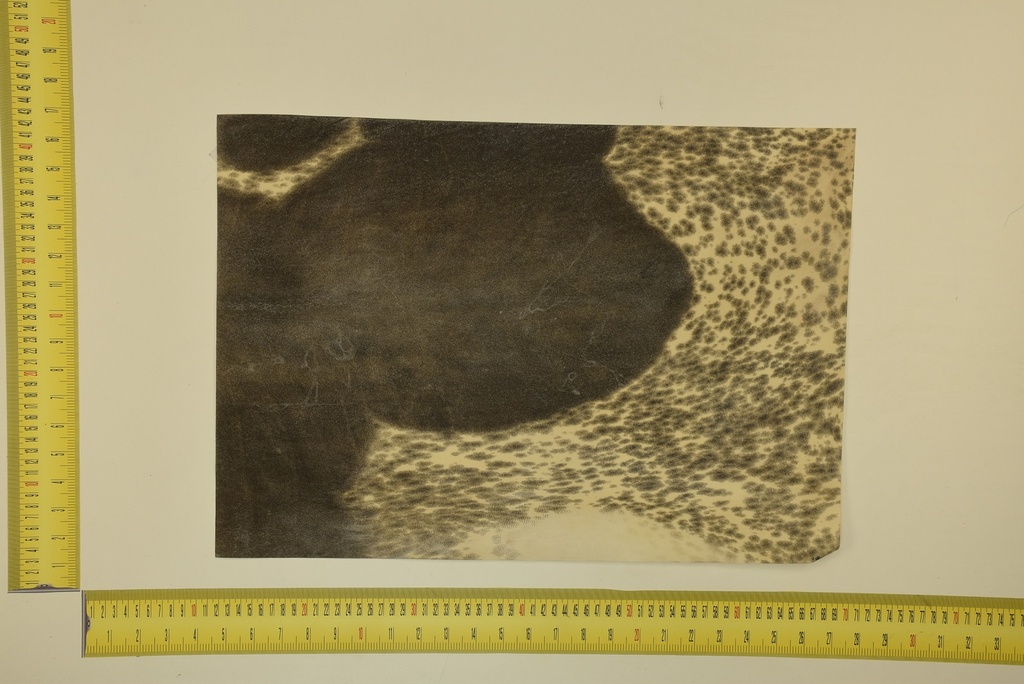 Formato moteado 53 X 37 2ª ID.004