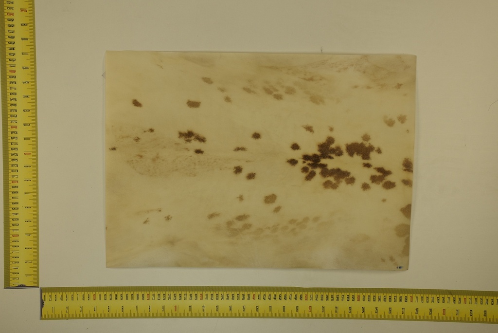 Formato moteado 53 X 37 2ª ID.008