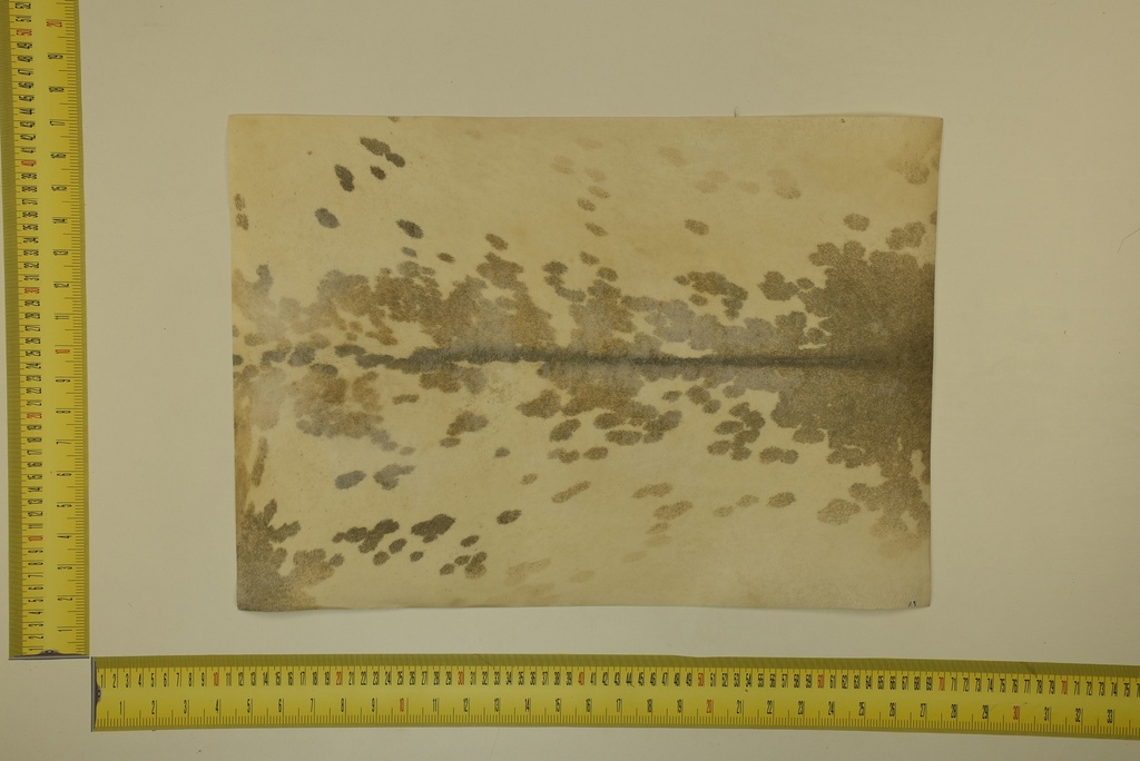 Formato moteado 53 X 37 2ª ID.036