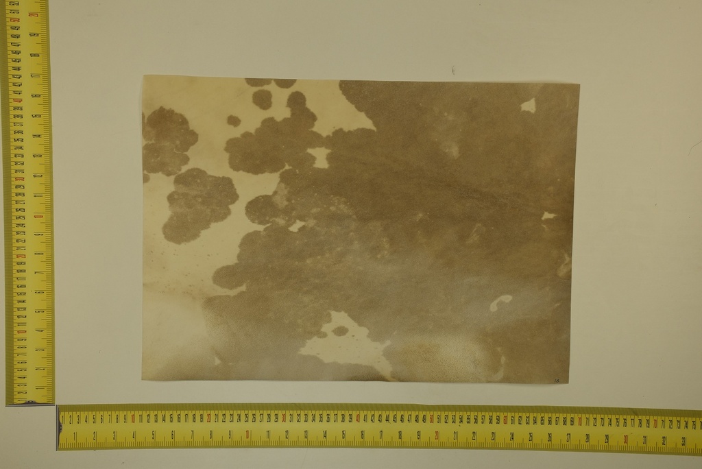 Formato moteado 53 X 37 2ª ID.049