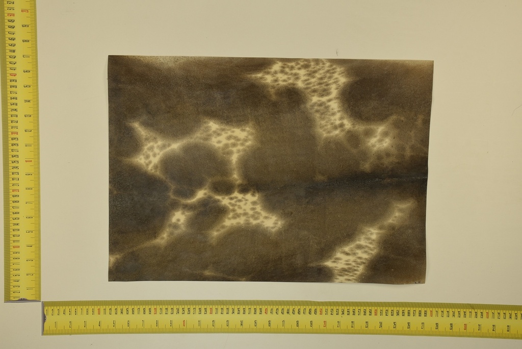 Formato moteado 53 X 37 2ª ID.055