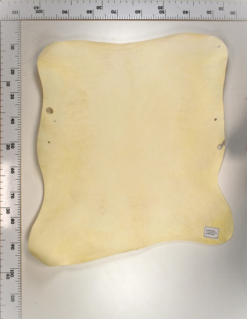 Cordero Blanco 22-0000-02-062