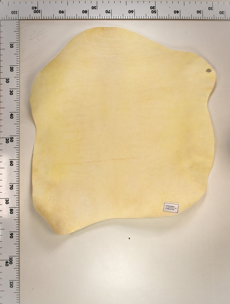 Cordero Blanco 22-0000-02-078