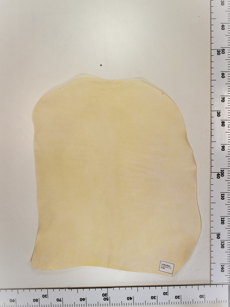 Cordero blanco impresión digital ID:002