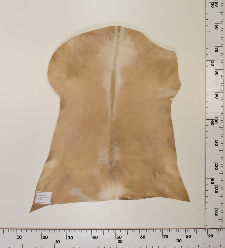 Cabrito Marrón ID004