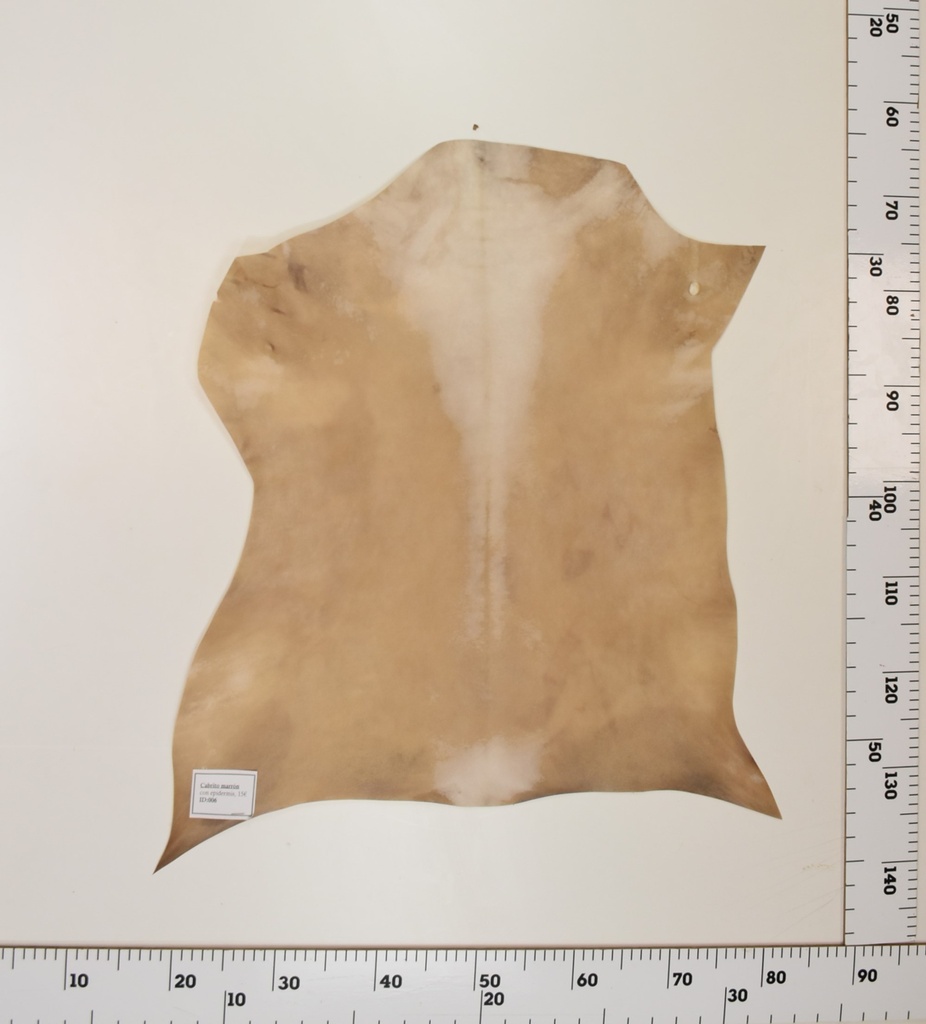 Cabrito Marrón ID006