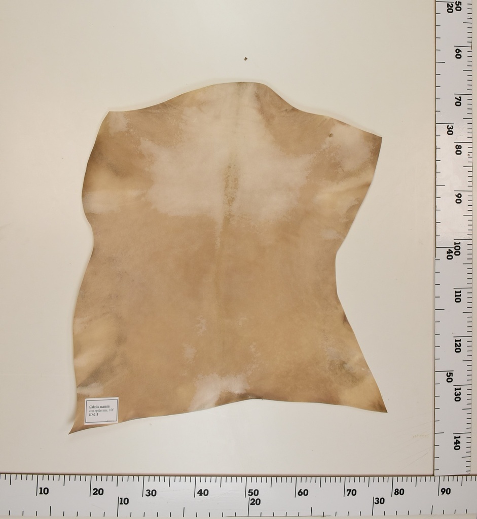 Cabrito Marrón ID015