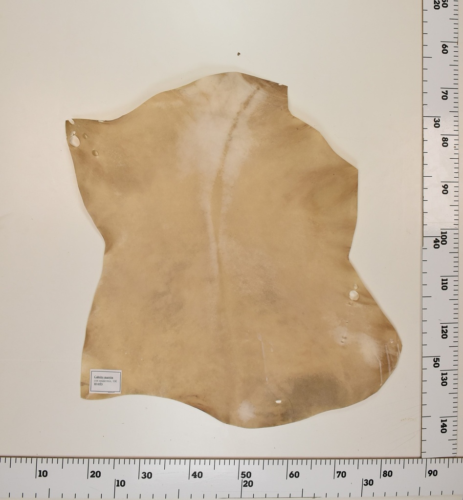 Cabrito Marrón ID033