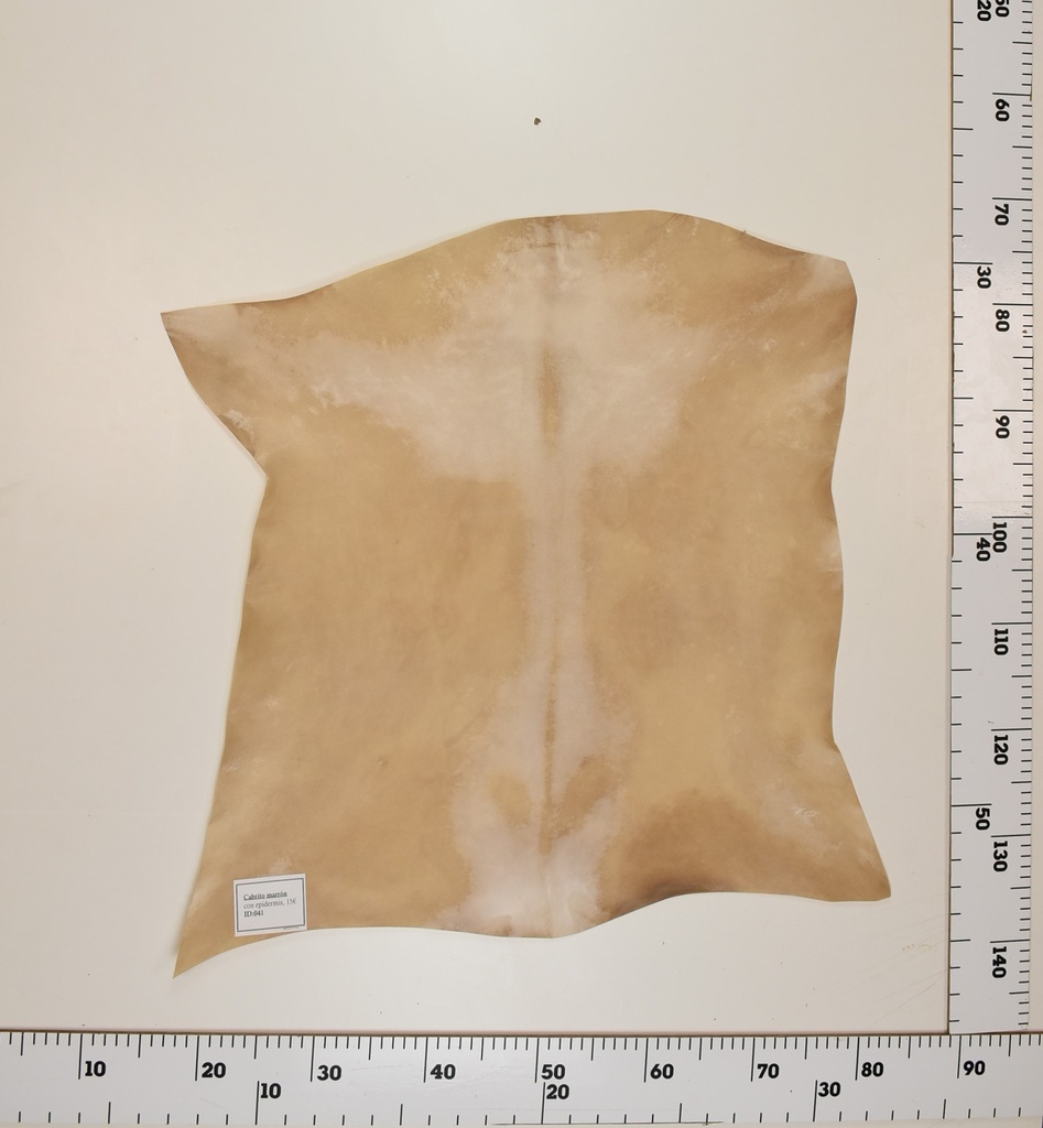 Cabrito Marrón ID041
