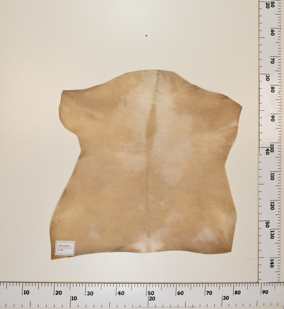 Cabrito Marrón ID048