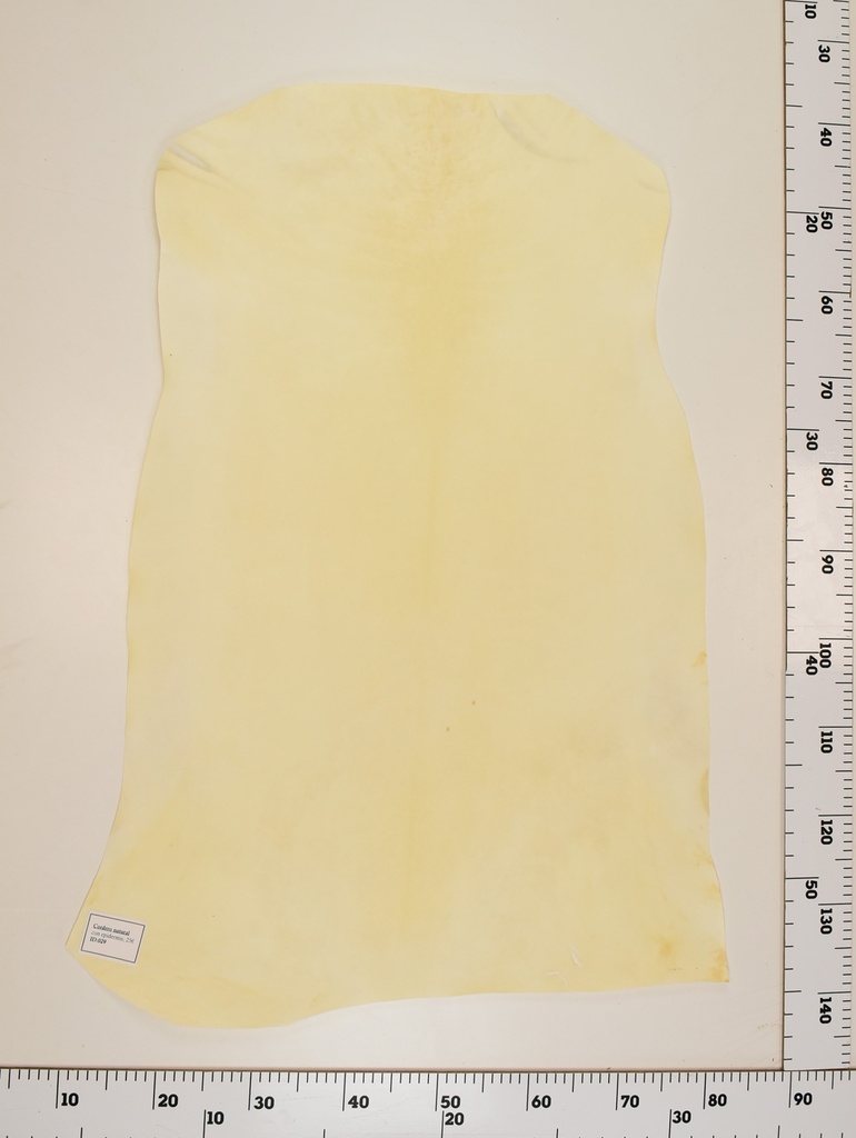 Cordero Natural ID029