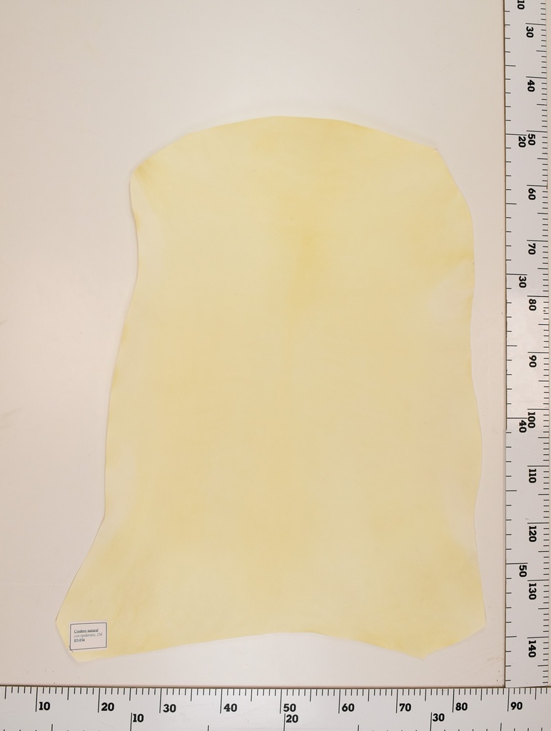 Cordero Natural ID034