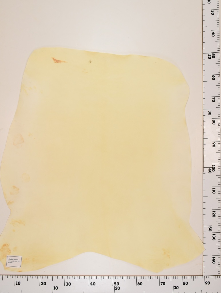 Cordero Natural ID037