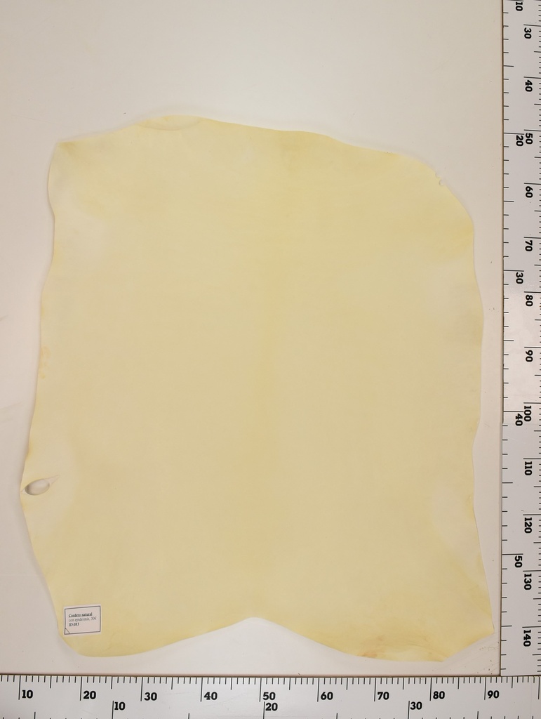 Cordero Natural ID053