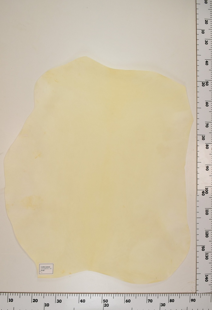 Cordero Natural ID069