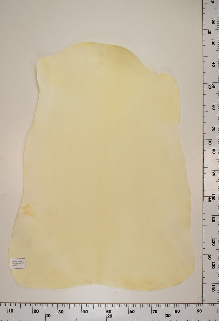 Cordero Natural ID077