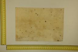 [22-5337-26-014] Formato moteado 53 X 37 2ª ID.014