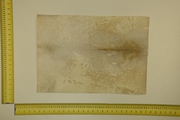 [22-5337-26-015] Formato moteado 53 X 37 2ª ID.015