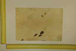 [22-5337-26-027] Formato moteado 53 X 37 2ª ID.027