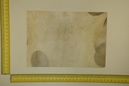 [22-5337-26-030] Formato moteado 53 X 37 2ª ID.030