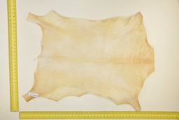 [24-0001-03-011] Piel de cabrito natural ID.011