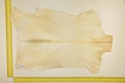 [24-0001-02-006] Piel de cabrito blanco ID.006