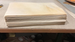 paquete de 100 formatos de 37x 21en Pergamino de piel de Cordero sin epidermis