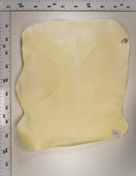 [22-0000-02-064] Cordero Blanco 22-0000-02-064