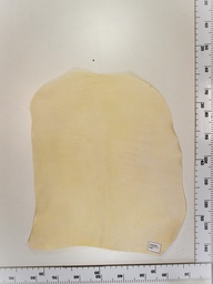 [23-0001-002] Cordero blanco impresión digital ID:002