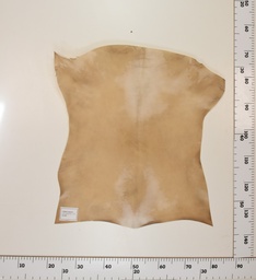 [24-0001-007] Cabrito Marrón ID007