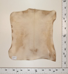 [24-0001-021] Cabrito Marrón ID021