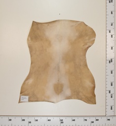 [24-0001-026] Cabrito Marrón ID026