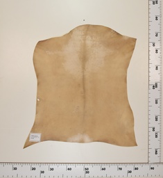 [24-0001-043] Cabrito Marrón ID043