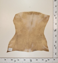 [24-0001-047] Cabrito Marrón ID047