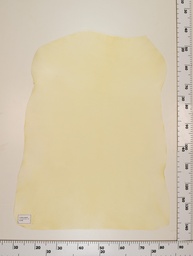 [22-0001-00-040] Cordero Natural ID040