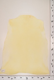 [22-0001-00-060] Cordero Natural ID060