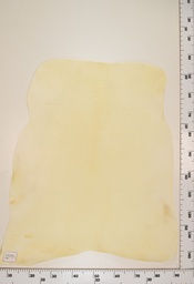 [22-0001-00-065] Cordero Natural ID065