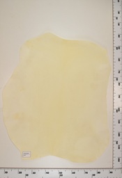 [22-0001-00-069] Cordero Natural ID069