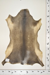 [22-0001-17-043] Cordero Negro ID043